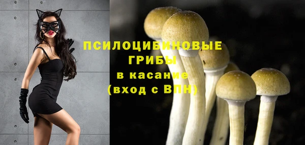 гидропоника Балахна