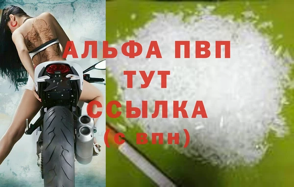 spice Баксан