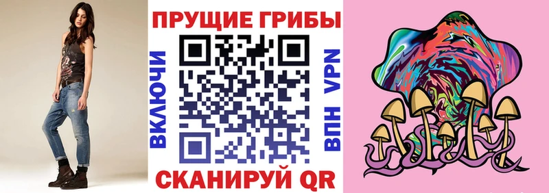 купить наркотики сайты  Городище  Псилоцибиновые грибы GOLDEN TEACHER 